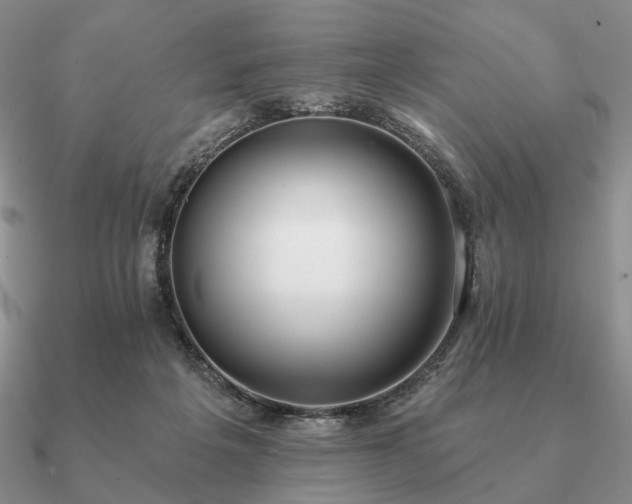 X0000090910217200708061529