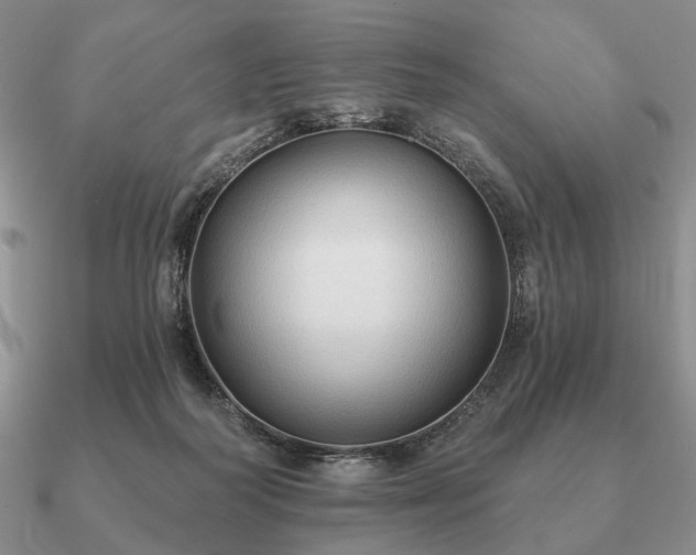 X0000090910218200708061529