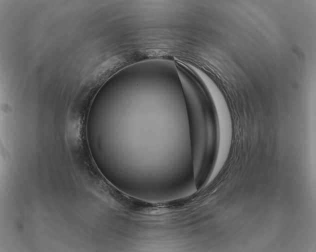 X0000090910219200708061529