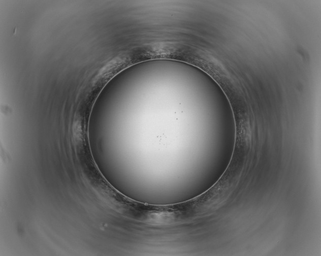 X0000090910220200708061529