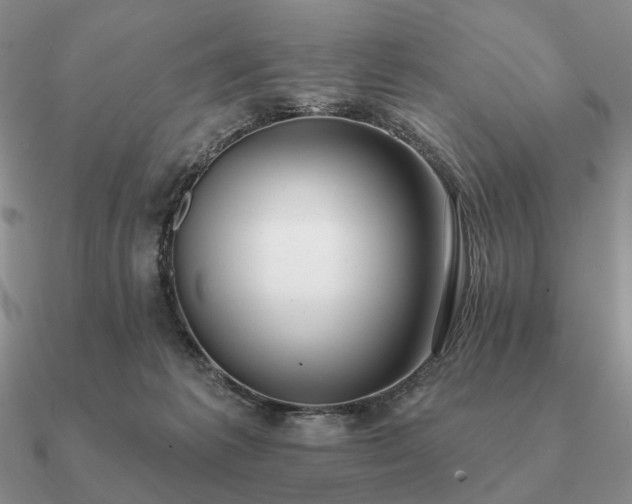 X0000090910221200708061529