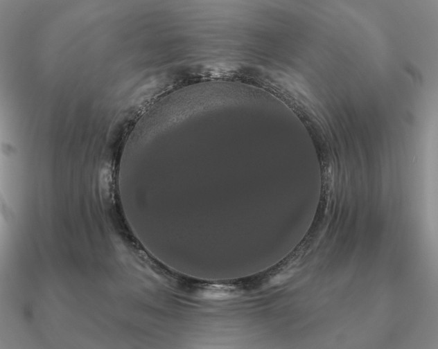 X0000090910222200708061529