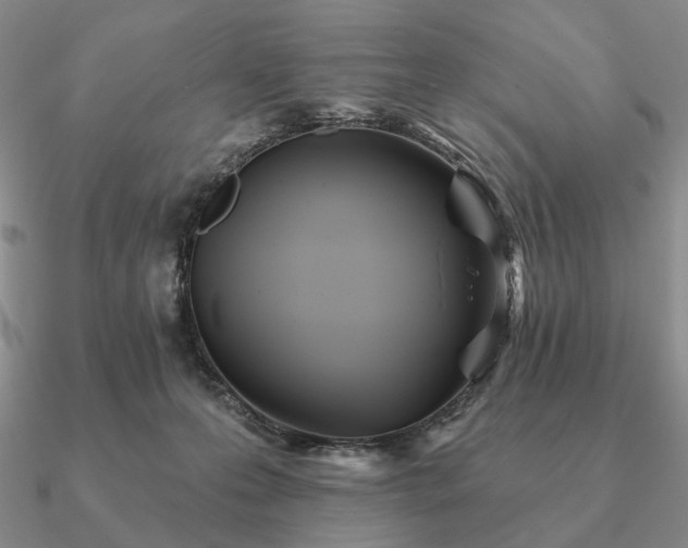 X0000090910223200708061529