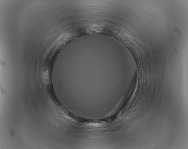 X0000090910224200708061529