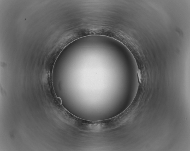 X0000090910225200708061529