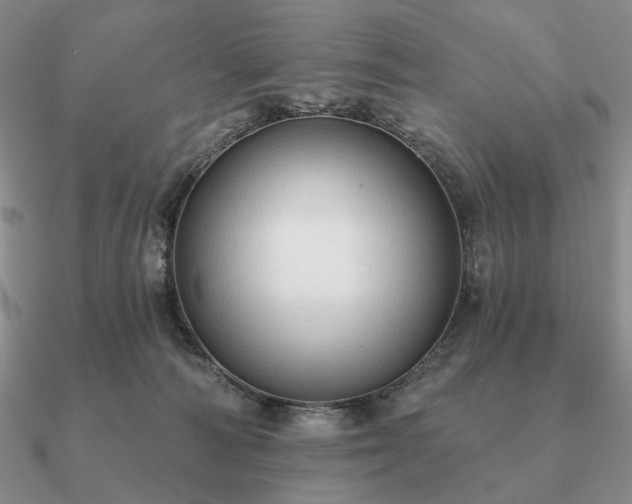 X0000090910226200708061529