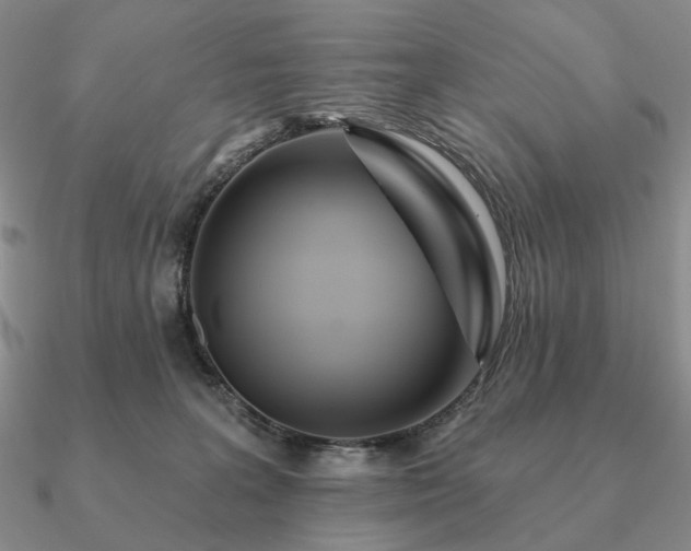 X0000090910227200708061529