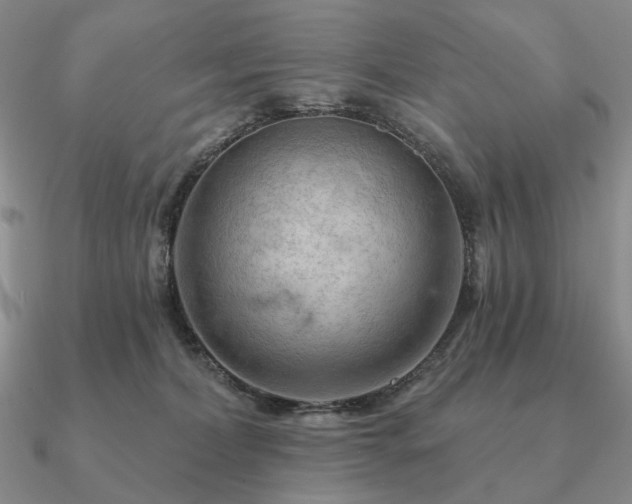 X0000090910228200708061529