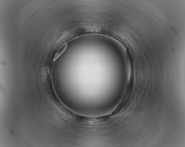 X0000090910229200708061529