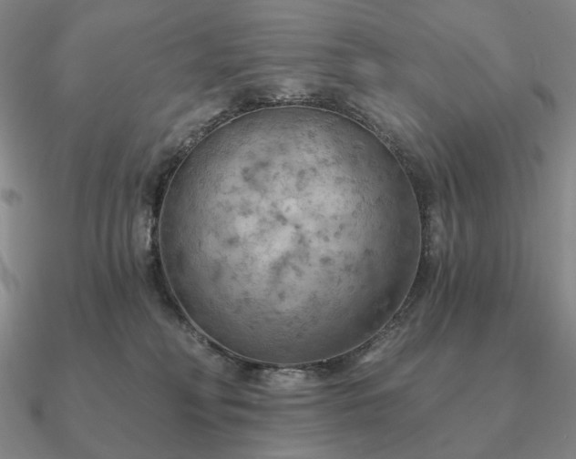 X0000090910230200708061529