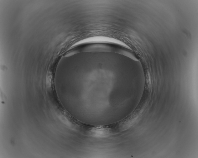 X0000090910231200708061529