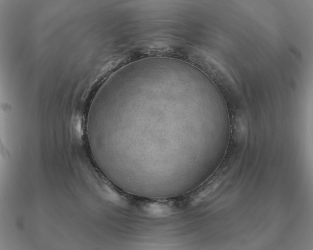 X0000090910232200708061529