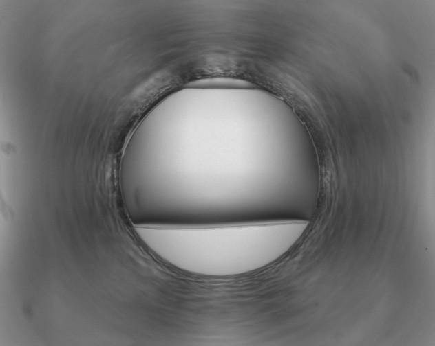 X0000090910233200708061529