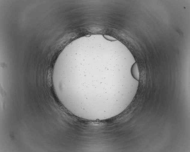 X0000090910234200708061529