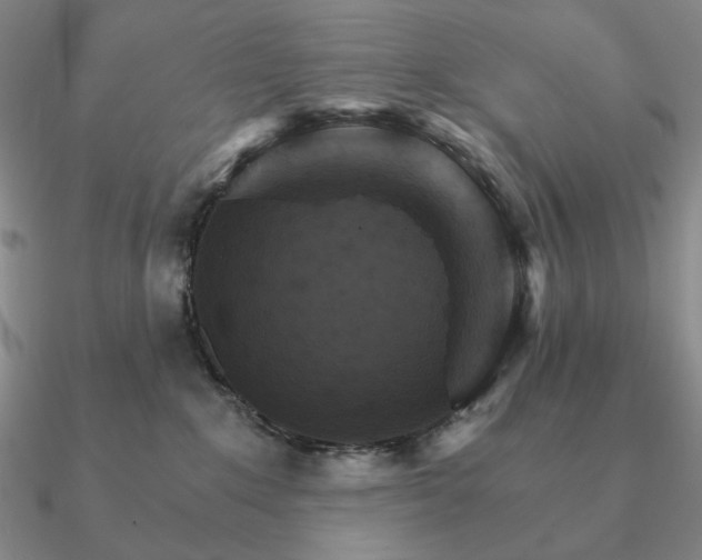 X0000090910235200708061529