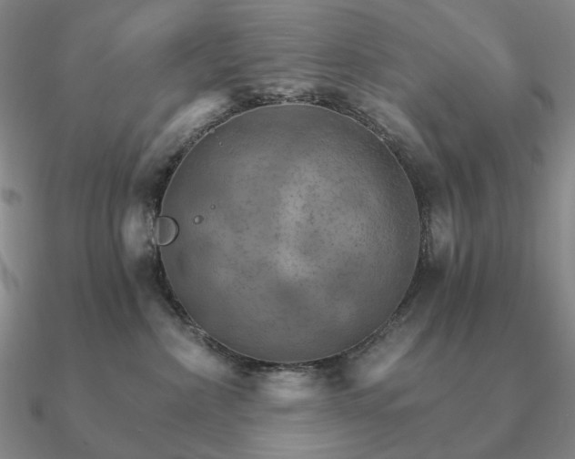 X0000090910236200708061529