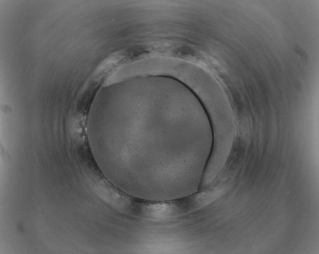 X0000090910237200708061529