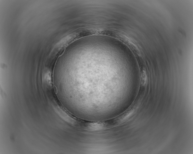 X0000090910238200708061529