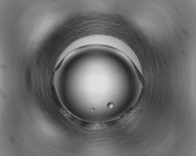 X0000090910239200708061529