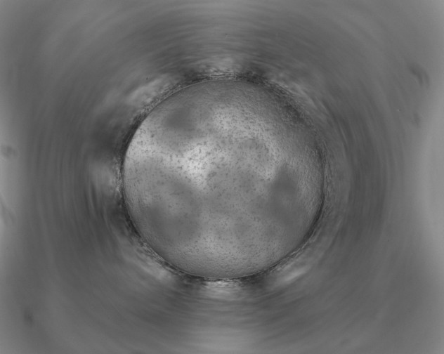 X0000090910240200708061529