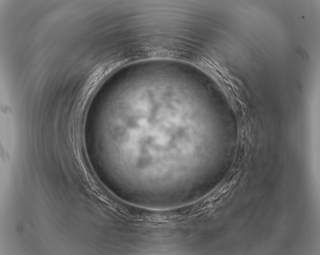 X0000090910241200708061528