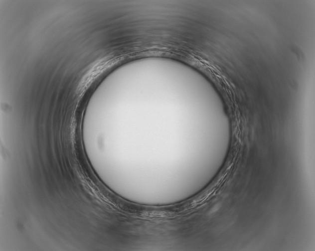 X0000090910242200708061528