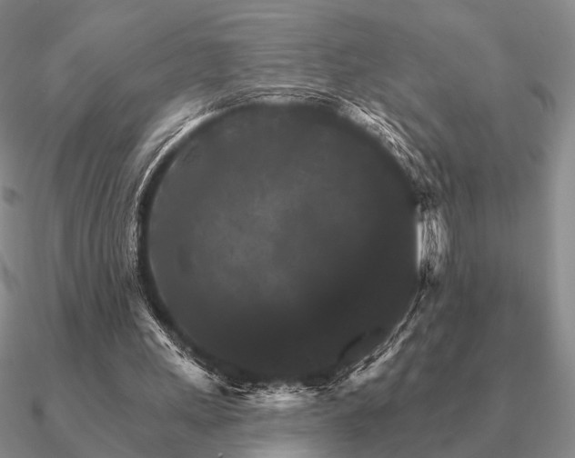 X0000090910243200708061528