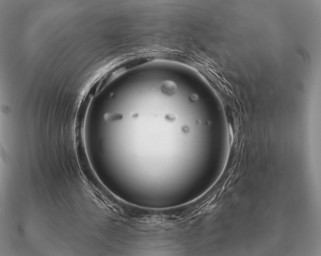 X0000090910244200708061528