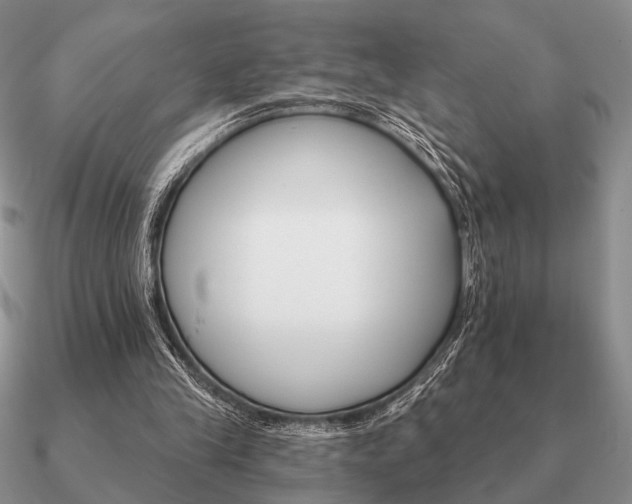 X0000090910245200708061528