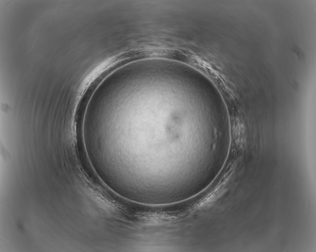 X0000090910246200708061528