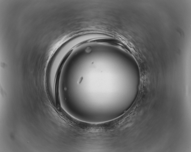 X0000090910248200708061528