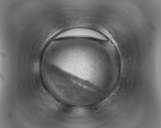 X0000090910249200708061528