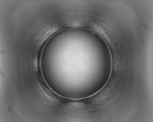 X0000090910251200708061528