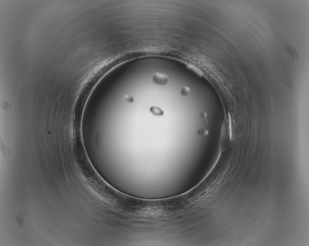 X0000090910252200708061528