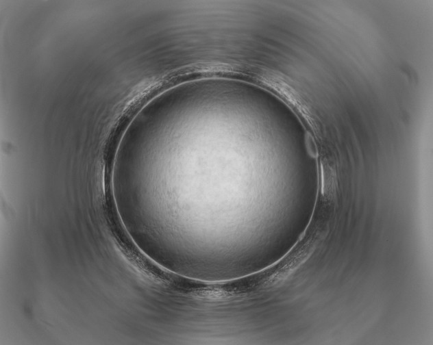 X0000090910253200708061528