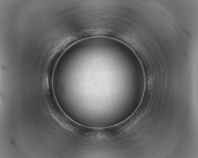 X0000090910254200708061528