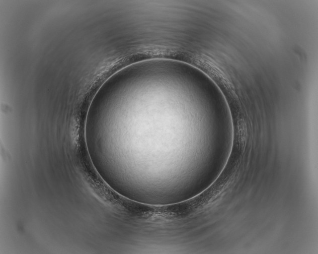 X0000090910255200708061528