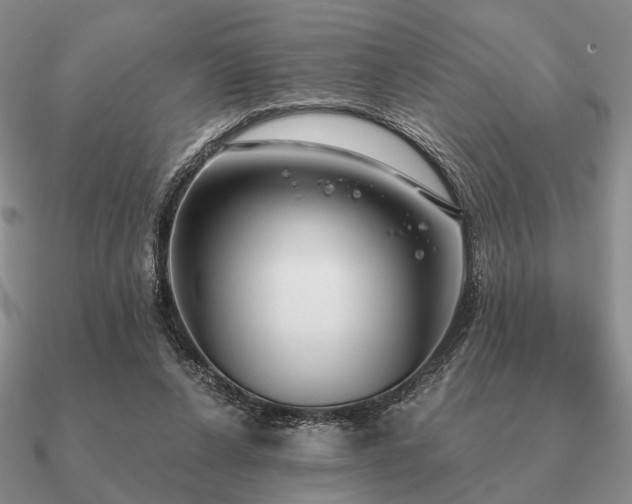 X0000090910256200708061528