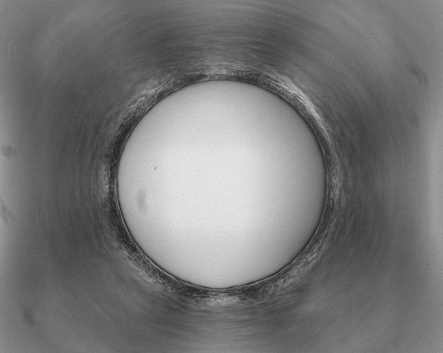 X0000090910257200708061528