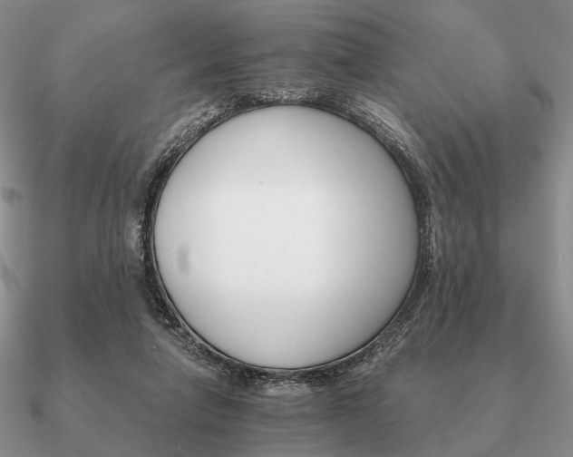 X0000090910258200708061528