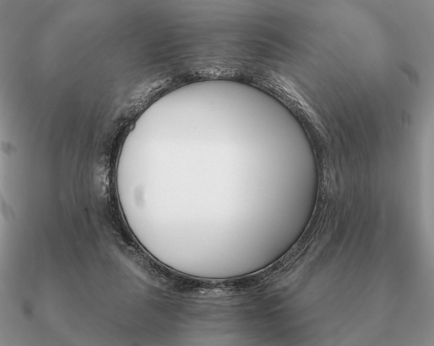 X0000090910259200708061528