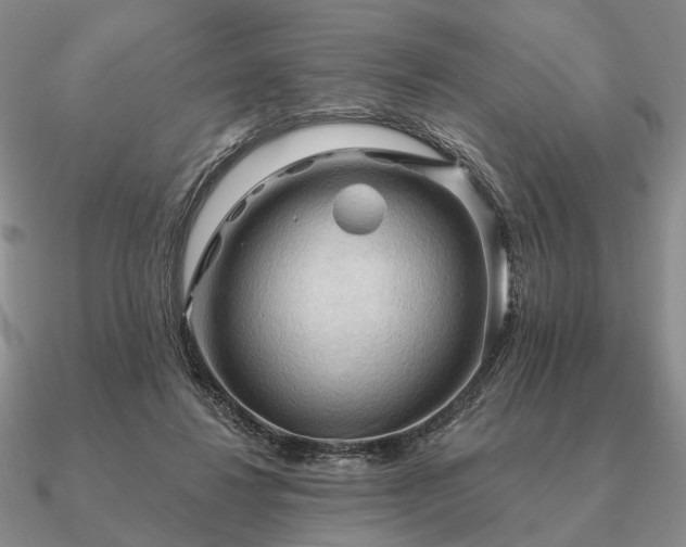 X0000090910260200708061528