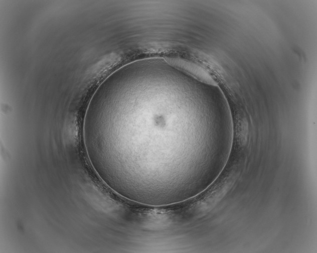 X0000090910261200708061528