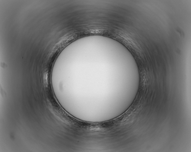 X0000090910262200708061528