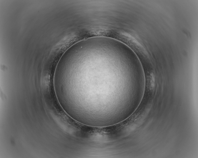 X0000090910263200708061528