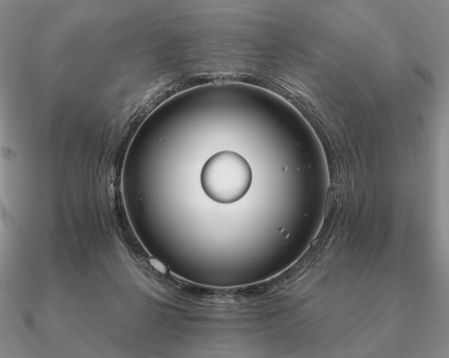 X0000090910264200708061528