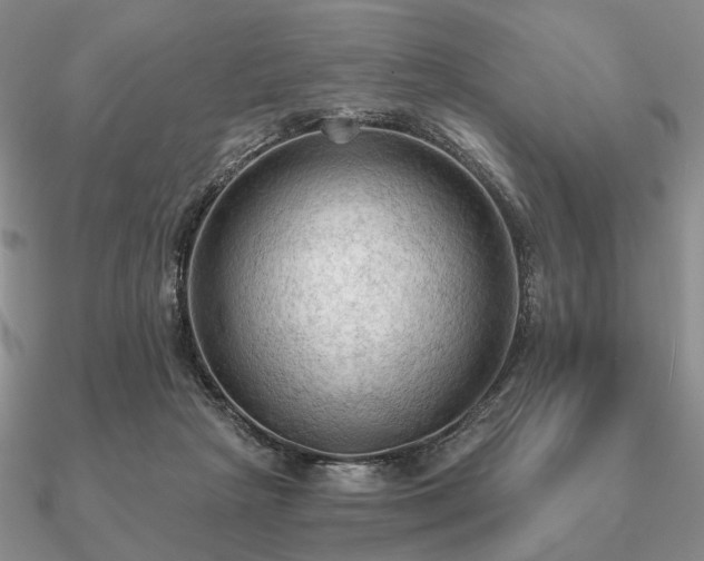 X0000090910265200708061528