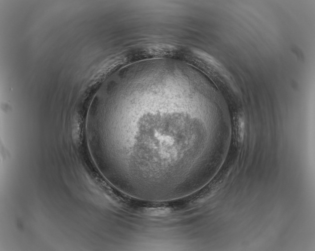 X0000090910266200708061528