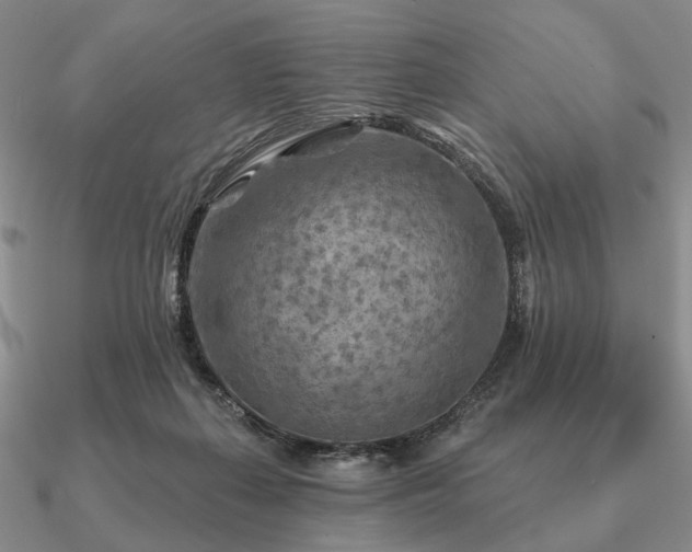 X0000090910267200708061528