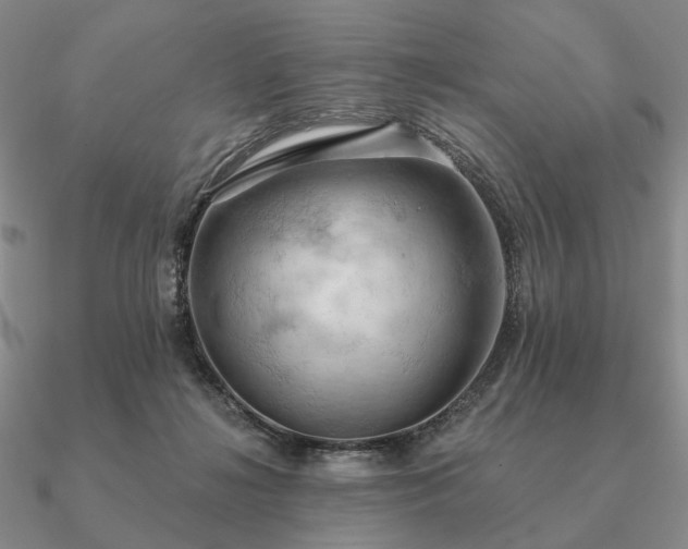 X0000090910268200708061528